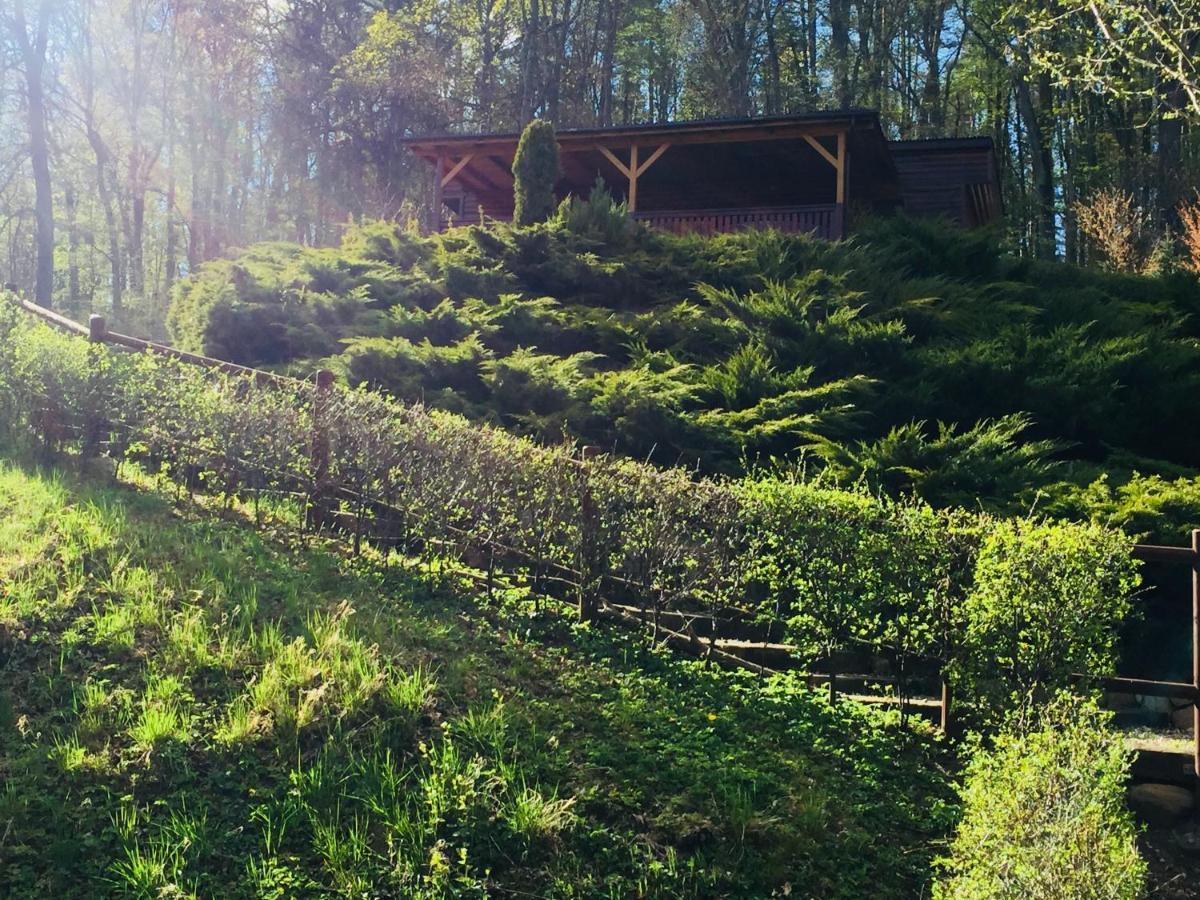 Domek Letniskowy "Domek W Zieleni" Kaszuby Lapino Esterno foto