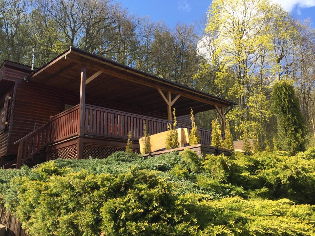 Domek Letniskowy "Domek W Zieleni" Kaszuby Lapino Esterno foto